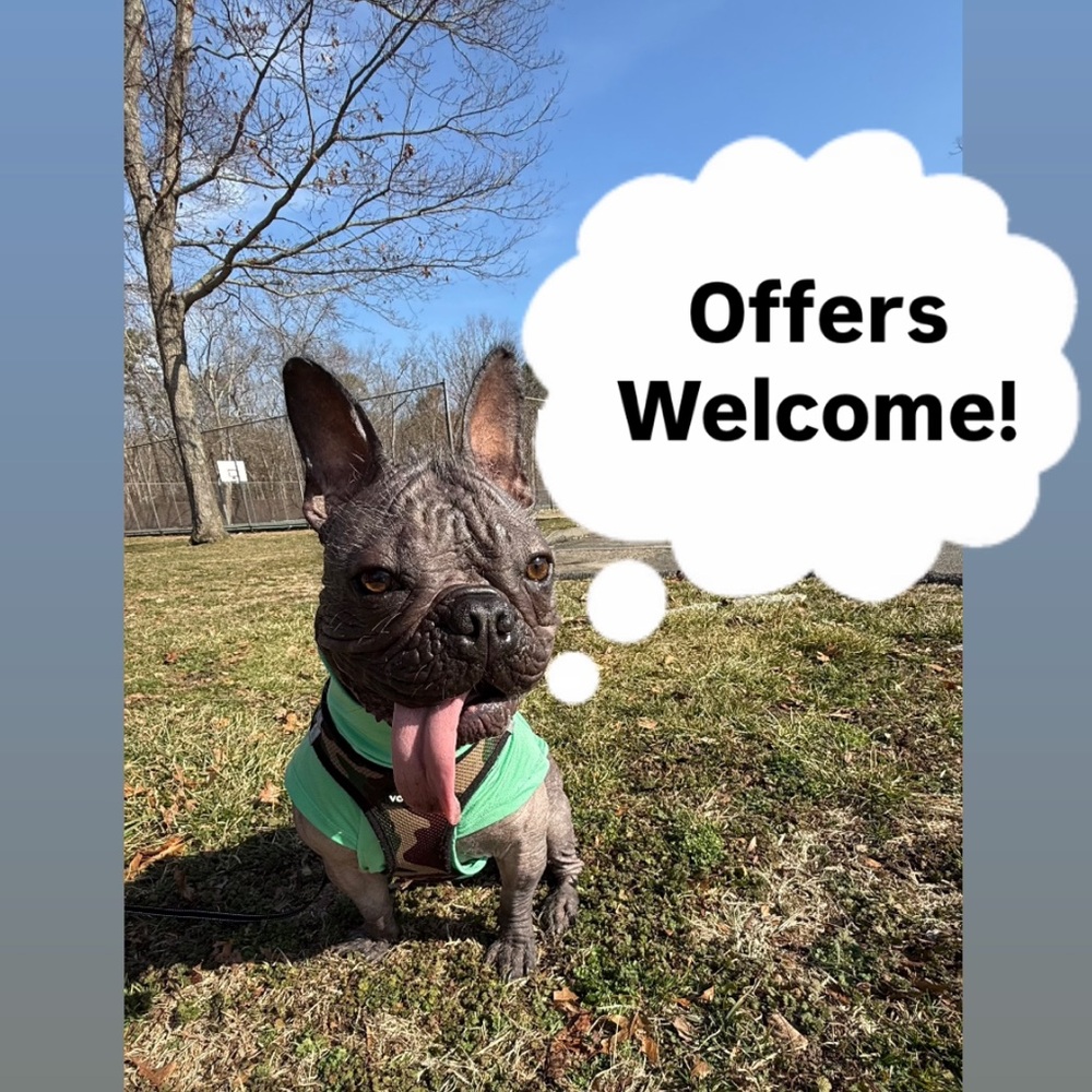Offers welcome!